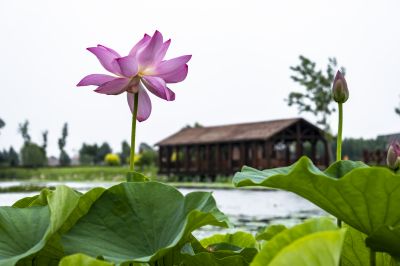 长岭湖风光