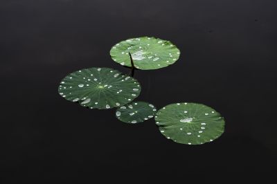 长岭湖风光