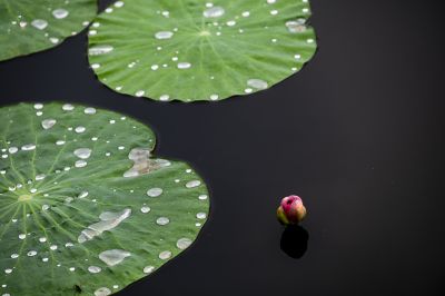 长岭湖风光