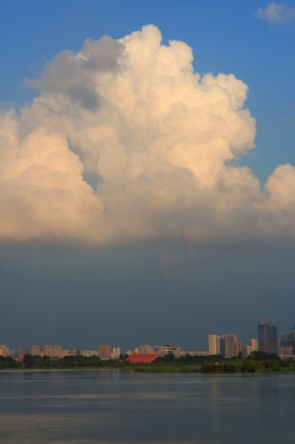 湿地风光