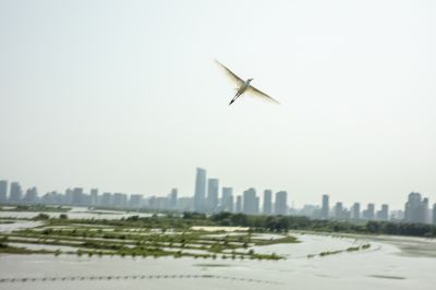群力湿地公园近景