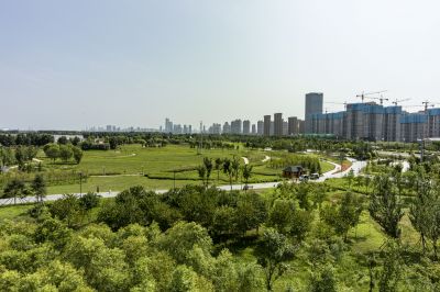 群力湿地公园近景