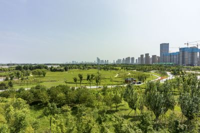 群力湿地公园近景