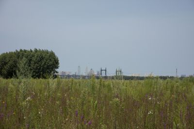 湿地公园近景