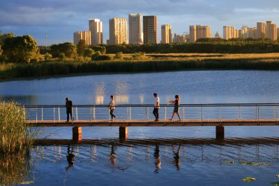 湿地风光