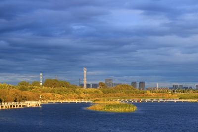湿地风光