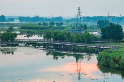 群力外滩湿地掠影