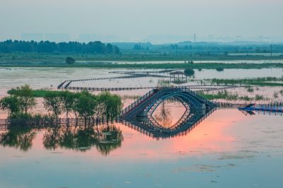 群力外滩湿地掠影