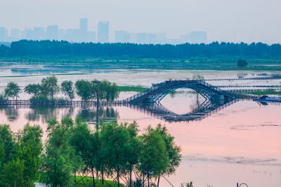 群力外滩湿地掠影