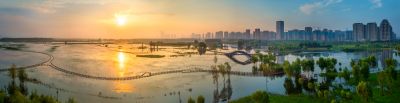 群力外滩湿地掠影