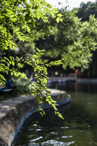 省森林植物园好风光