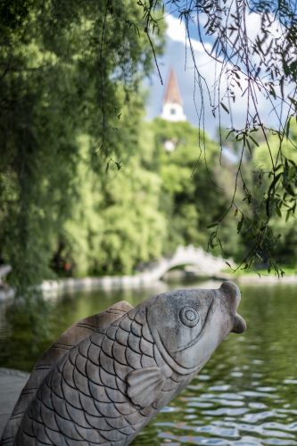 省森林植物园好风光