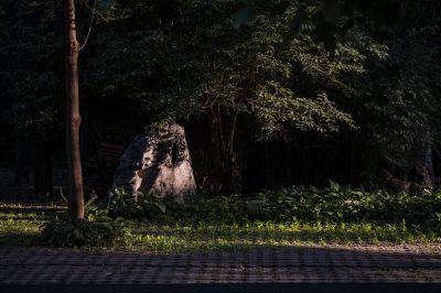 省森林植物园好风光