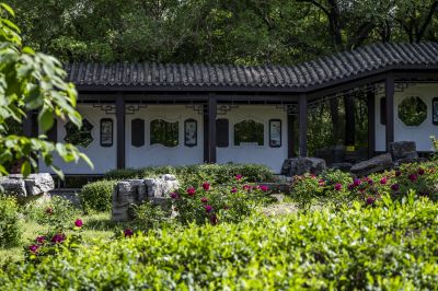 省森林植物园好风光