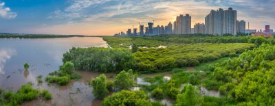 阳明滩湿地掠影