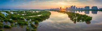 阳明滩湿地掠影