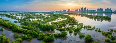 阳明滩湿地掠影
