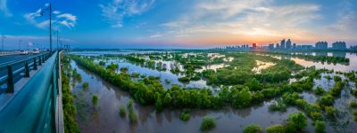 阳明滩湿地掠影