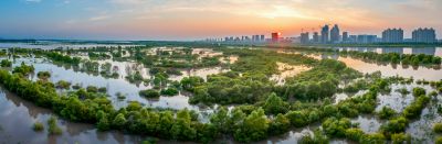 阳明滩湿地掠影