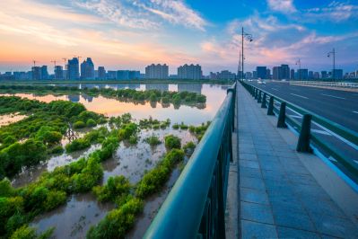 阳明滩湿地掠影