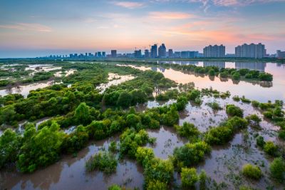 阳明滩湿地掠影