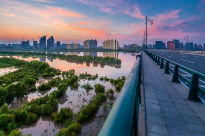 阳明滩湿地掠影