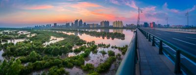 阳明滩湿地掠影