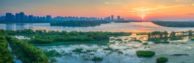 一湖三岛湿地掠影