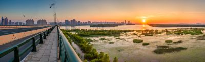 一湖三岛湿地掠影