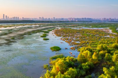 一湖三岛湿地掠影