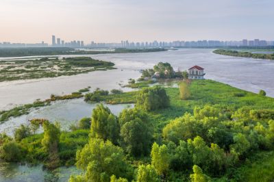一湖三岛湿地掠影