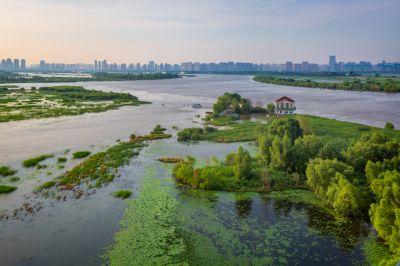 一湖三岛湿地掠影