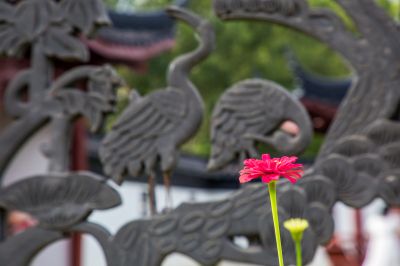 中国亭园初秋风景2