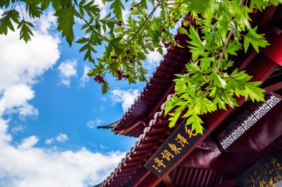 中国亭园初秋风景2