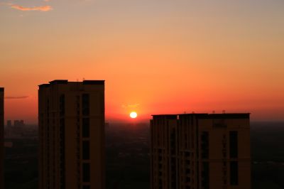 夕阳红