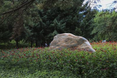 香林园风光
