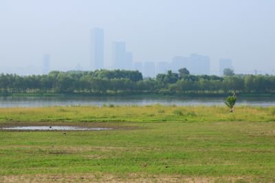 湿地风光