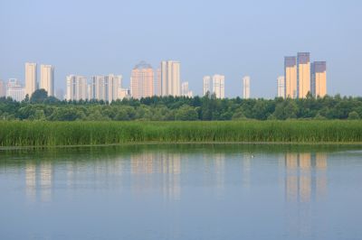 哈尔滨大剧院湿地风光