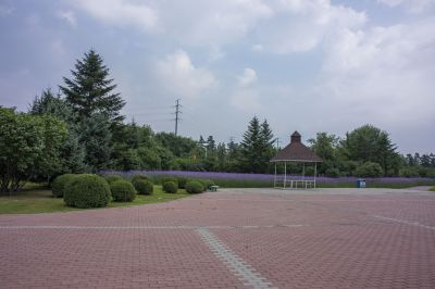 丁香科技园