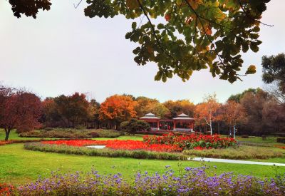 太阳岛秋色