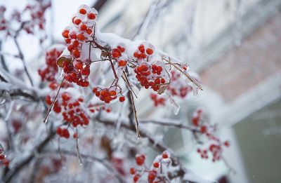冰城最美雪景
