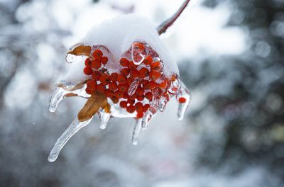 冰城最美雪景