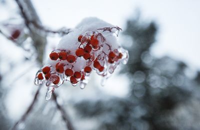 冰城最美雪景