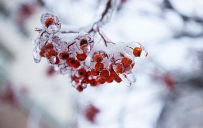 冰城最美雪景