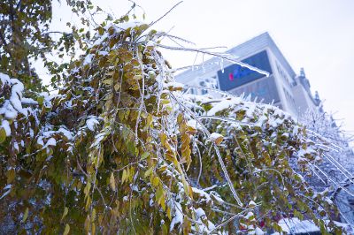 冰城最美雪景