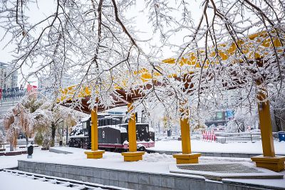 冰城最美雪景