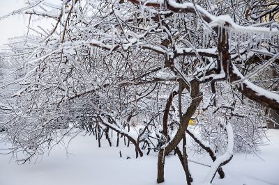 冰城最美雪景