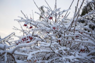 冰城最美雪景