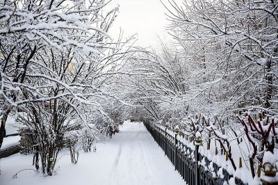 冰城最美雪景
