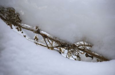 冰雪奇趣